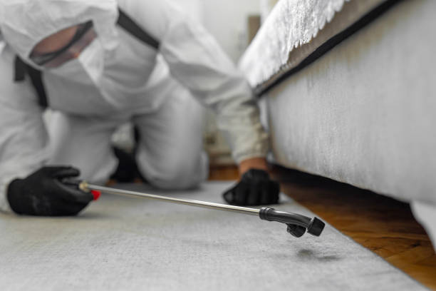 Professional Cockroach Control technician working in Frankfort, IN