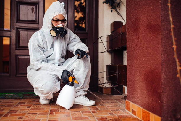 Reliable Cockroach Control contractor in Frankfort, IN by Nex Pest Control