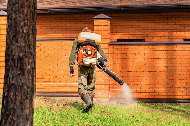 Top rated local Cockroach Control specialists in Frankfort, IN